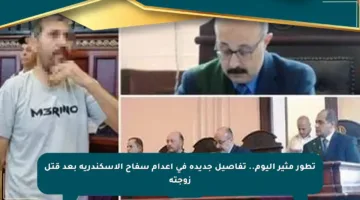 تطور مثير اليوم.. تفاصيل جديدة في إعدام سفاح الإسكندرية بعد قتل زوجته